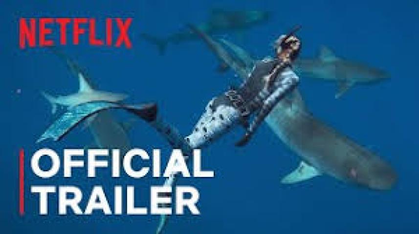فيلم Shark Whisperer 2025 مترجم HD اون لاين ماي سيما