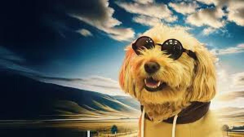 فيلم Dog Fugitive 2025 ماي سيما