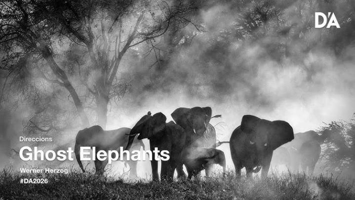مشاهدة فيلم Ghost Elephants 2026 مترجم ماي سيما